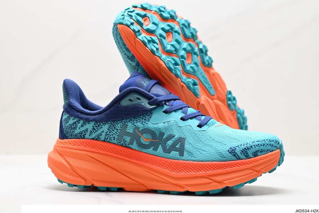 Hoka Shoes